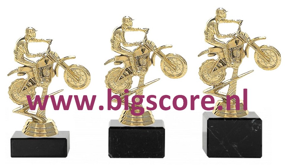 Crossmotor Goud 370-G